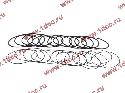 Кольцо уплотнительное гильзы цилиндра (комплект 12 тонких и 12 толстых) двигатель TD226B6G Lonking CDM (СДМ) 01153804/01153805 фото 1 Красноярск