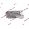 Вкладыши шатунные стандарт +0.00 (12шт) LONGGONG CDM 833 Lonking CDM (СДМ) 13025625 фото 2 Красноярск