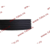 Ремень 6PK1425 A7 CREATEK CREATEK WG1246060008/CK фото 3 Красноярск