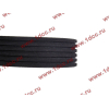Ремень 6PK1020 кондиционера H3 CREATEK CREATEK WG1500130016/CK8021 фото 3 Красноярск
