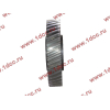 Шестерня привода распредвала промежуточная WD615/WP10 HOWO (ХОВО) VG1560050053/61560050053 фото 3 Красноярск
