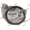 Кольца поршневые (компл. на дв-ль) DF DONG FENG (ДОНГ ФЕНГ) C3964073,C3921919,C394841 для самосвала фото 3 Красноярск